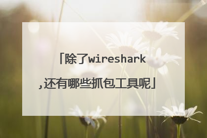 除了wireshark,还有哪些抓包工具呢