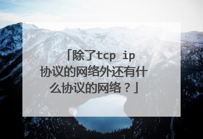 除了tcp ip协议的网络外还有什么协议的网络?