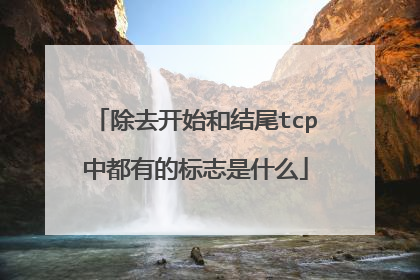 除去开始和结尾tcp中都有的标志是什么