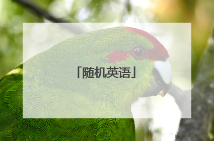 随机英语