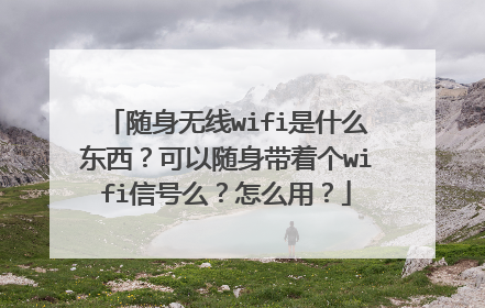 随身无线wifi是什么东西？可以随身带着个wifi信号么？怎么用？