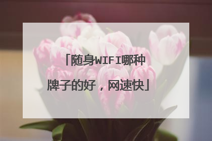 随身WIFI哪种牌子的好，网速快