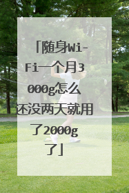 随身Wi-Fi一个月3000g怎么还没两天就用了2000g了