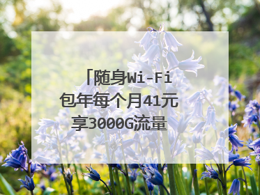 随身Wi-Fi包年每个月41元享3000G流量是真的吗？,,