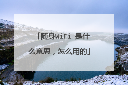 随身WiFi 是什么意思，怎么用的