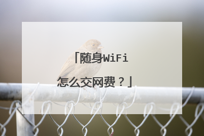 随身WiFi怎么交网费？