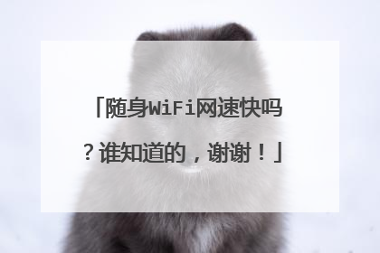 随身WiFi网速快吗?谁知道的,谢谢!