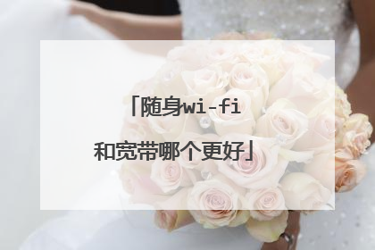 随身wi-fi和宽带哪个更好