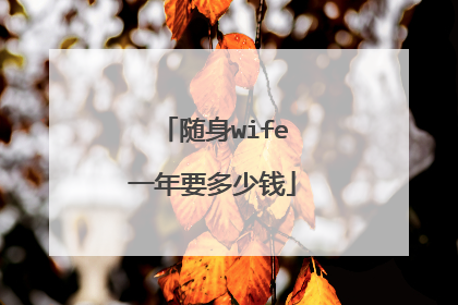 随身wife一年要多少钱