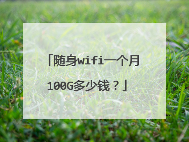 随身wifi一个月100G多少钱？