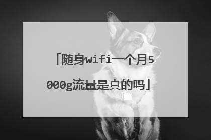 随身wifi一个月5000g流量是真的吗