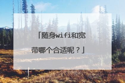 随身wifi和宽带哪个合适呢？