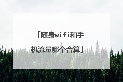随身wifi和手机流量哪个合算