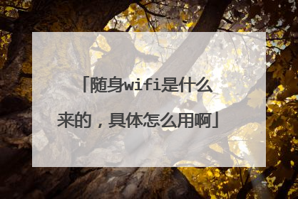 随身wifi是什么来的，具体怎么用啊