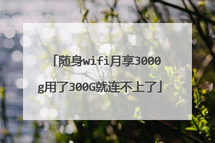 随身wifi月享3000g用了300G就连不上了