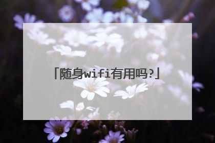随身wifi有用吗?