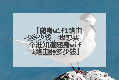 随身wifi路由器多少钱，我想买一个谁知道随身wifi路由器多少钱