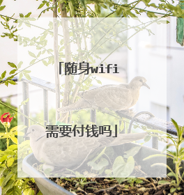 随身wifi需要付钱吗