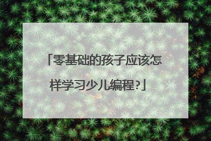 零基础的孩子应该怎样学习少儿编程?