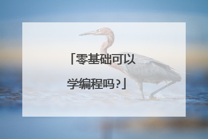 零基础可以学编程吗?