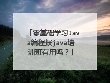 零基础学习Java编程报java培训班有用吗?