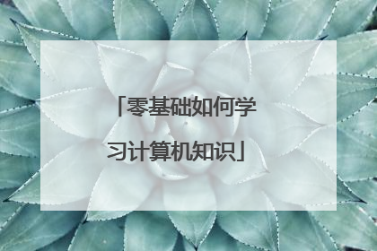 零基础如何学习计算机知识