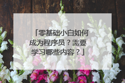 零基础小白如何成为程序员？需要学习哪些内容？