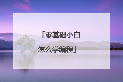 零基础小白怎么学编程