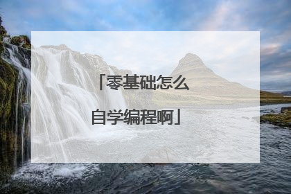 零基础怎么自学编程啊