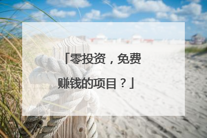 零投资，免费赚钱的项目？