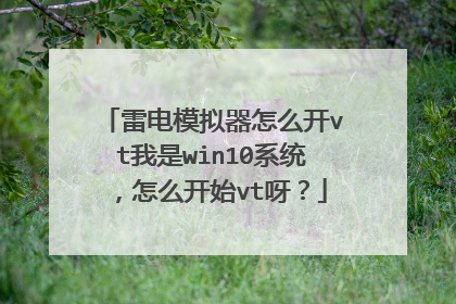 雷电模拟器怎么开vt我是win10系统，怎么开始vt呀？