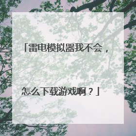雷电模拟器我不会,怎么下载游戏啊?