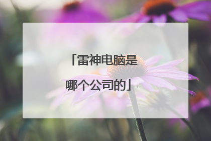 雷神电脑是哪个公司的