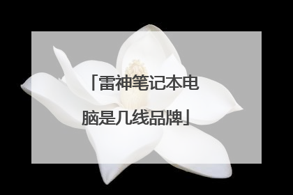 雷神笔记本电脑是几线品牌