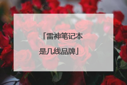 雷神笔记本是几线品牌