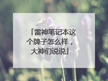 雷神笔记本这个牌子怎么样,大神们说说