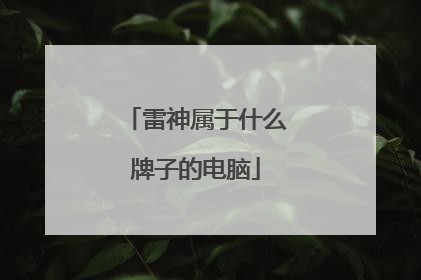 雷神属于什么牌子的电脑