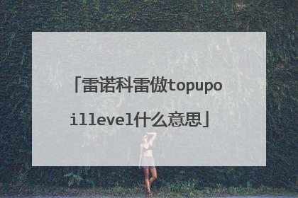 雷诺科雷傲topupoillevel什么意思