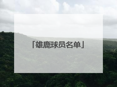 雄鹿球员名单