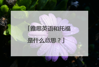 雅思英语和托福是什么意思?
