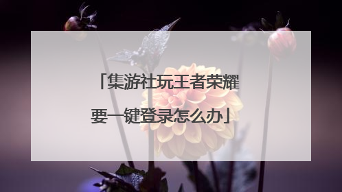 集游社玩王者荣耀要一键登录怎么办