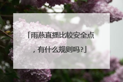 雨燕直播比较安全点，有什么规则吗?