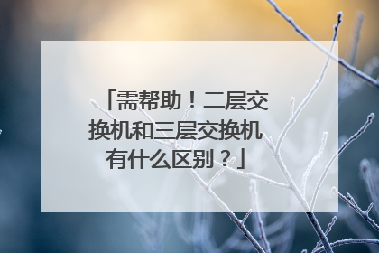 需帮助！二层交换机和三层交换机有什么区别？