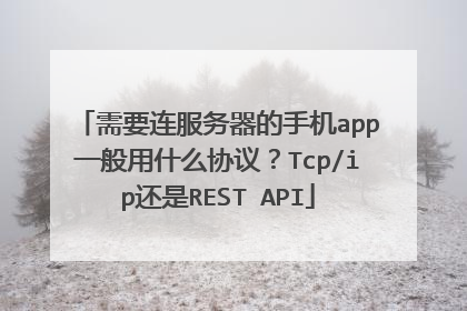 需要连服务器的手机app一般用什么协议？Tcp/ip还是REST API