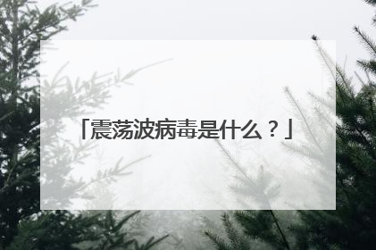 震荡波病毒是什么？