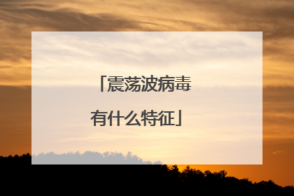 震荡波病毒有什么特征