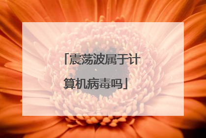 震荡波属于计算机病毒吗