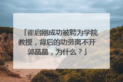 霍启刚成功被聘为学院教授，背后的功劳离不开郭晶晶，为什么？