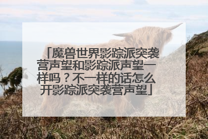 魔兽世界影踪派突袭营声望和影踪派声望一样吗？不一样的话怎么开影踪派突袭营声望