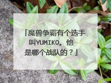 魔兽争霸有个选手叫YUMIKO。他是哪个战队的？